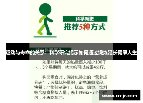 运动与寿命的关系：科学研究揭示如何通过锻炼延长健康人生