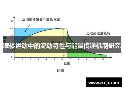 液体运动中的流动特性与能量传递机制研究