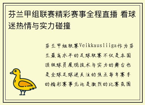 芬兰甲组联赛精彩赛事全程直播 看球迷热情与实力碰撞